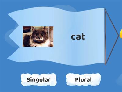  singular plural