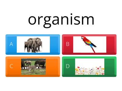 Levels of Ecological Organization