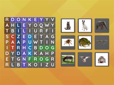 Super Minds 1 - Pet Show