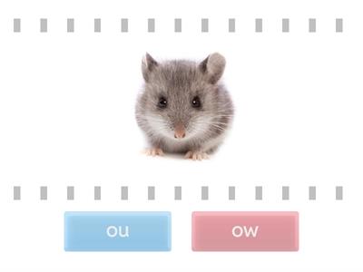 Phonics : ow/ou