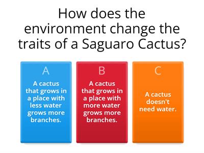 Environment Affects Traits