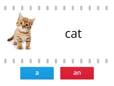 A or An - Single Nouns