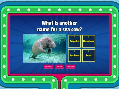 Stage 7 FLE  - EOT 1 (Reading Prac.)