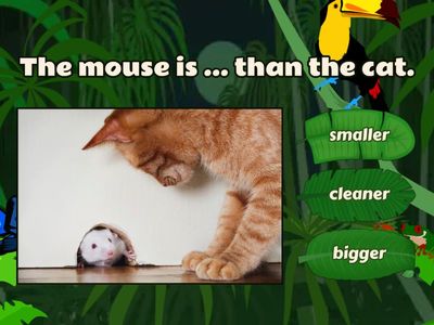 Comparative Kids Box