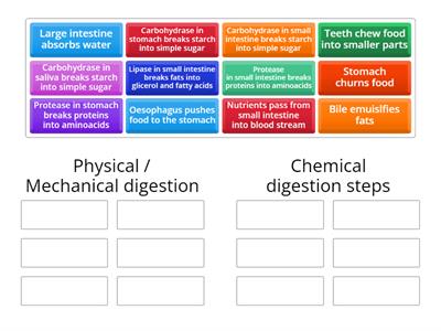 Mechanical and chemical digestion