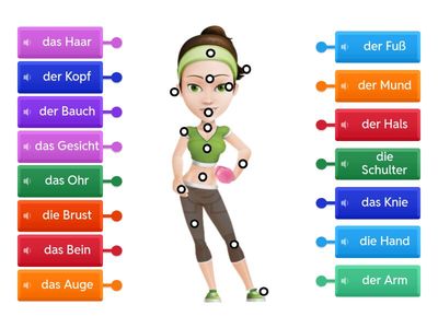 D5. 2C_1. (I) Körperteile-1