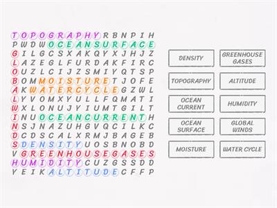 WORD SEARCH