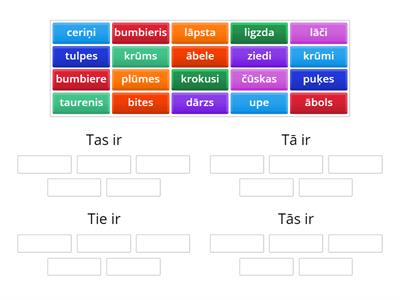 Tas/tā un tie/tās.