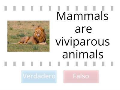 Viviparous animals and Oviparous animals 