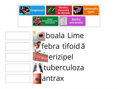 Boli produse de bacterii( bacterioze)