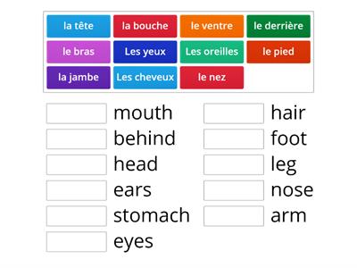 Les Parties du corps - body parts (petit cochon)