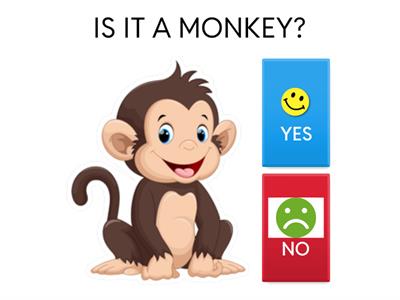  ELIMINATION ROUND - 3 YEARS OLD