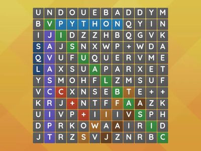 PROGRAMMING SOFTWARE 