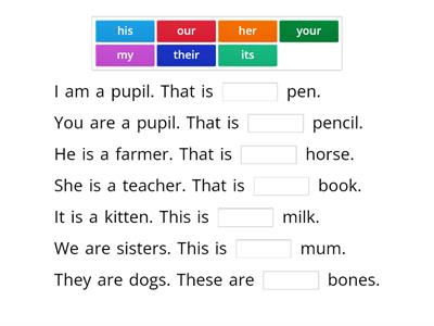 Possesive adjectives 1