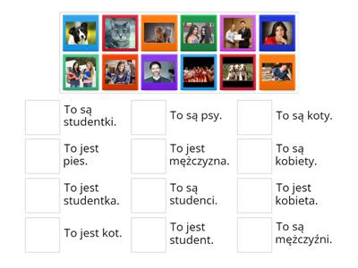 Kto to jest? Co to jest?