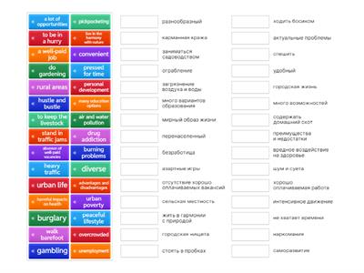 ЕГЭ английский язык Тема кодификатора: Жизнь в городе и сельской местности. Проблемы города и села 