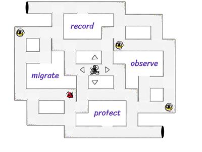 Academy Stars (UNIT 1) - Vocabulary