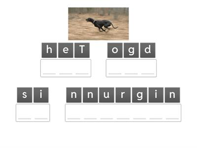 Anagram - Semantics Sentences