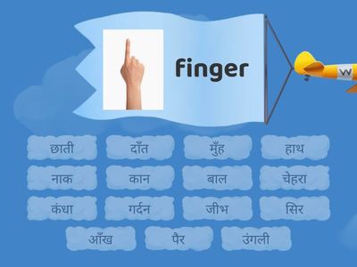 शरीर के अंग 