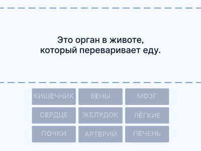 ОРГАНЫ 🫁🫀🧠