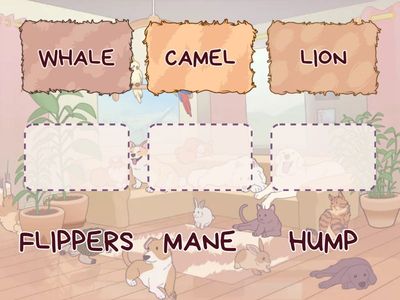 YS4 - MODULE 10 - CLIL