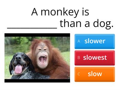 Short Comparative with animals