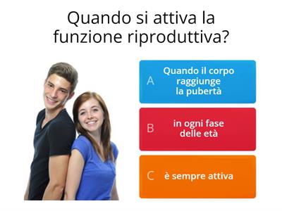 Apparato riproduttore 