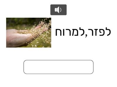   IRV#1A  Type the Verb Hebrew, Pictures & Audio
