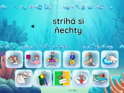  Slovník strana 76, 2 časť - previerka