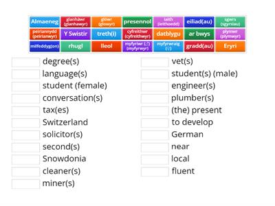 sylfaen Uned 13 Geirfa