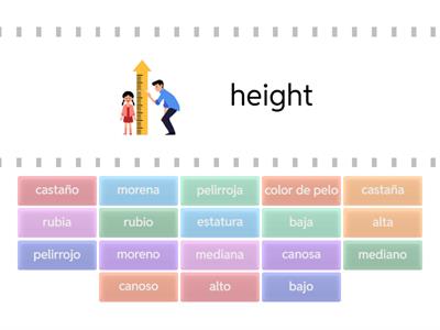 IV. Height and Hair color