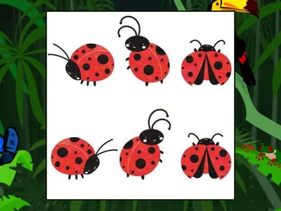 Serbian A1 - Numbers from 1 to 10, FF