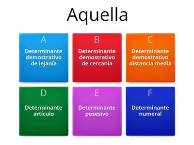 TIPOS DE DETERMINANTES