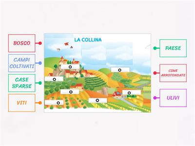 GEOGRAFIA- LA COLLINA