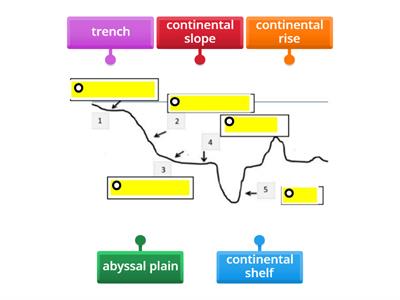 Label the ocean floor