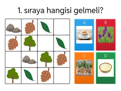 kış sudoku 