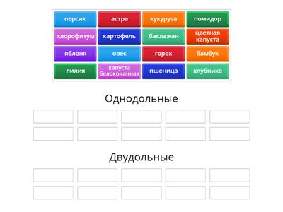 класс однодольные и двудольные