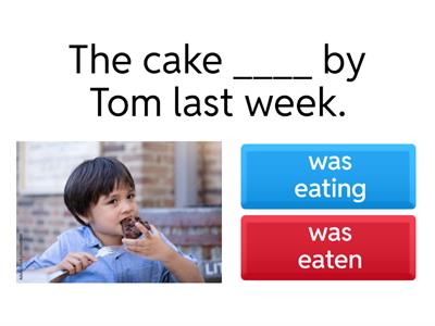 Past Simple Passive voice 