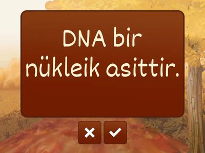 12.SINIF KİMYA TÜM KONULAR (HAKİKAT YAPIM)