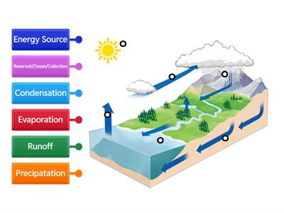 Water Cycle Labeled Diagram