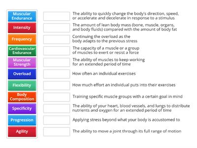 Fitness Components Vocabulary
