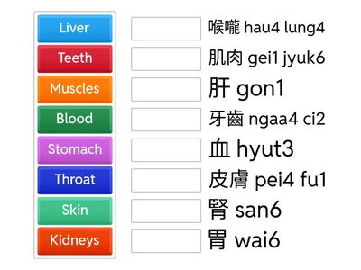 Cantonese  Human Body Parts -by May
