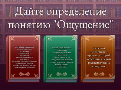 Познавательные процессы