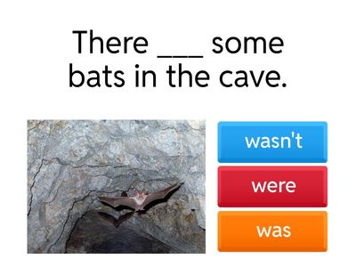 English Grammar Quiz