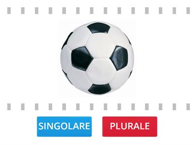 singolare o plurale?