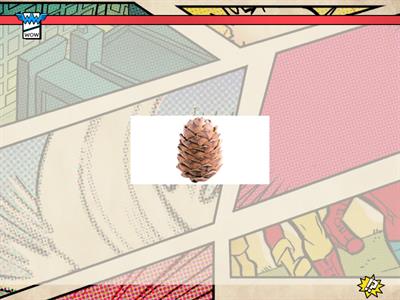 Автоматизация звука Ш. Запомни картинки