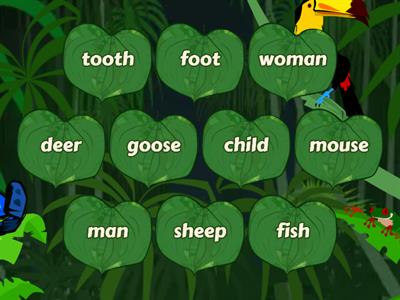 Irregular Plural Nouns