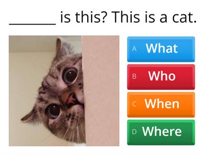 Victor: What / Where / Who / When