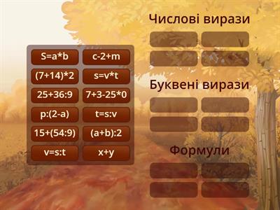 Числові та буквені вирази