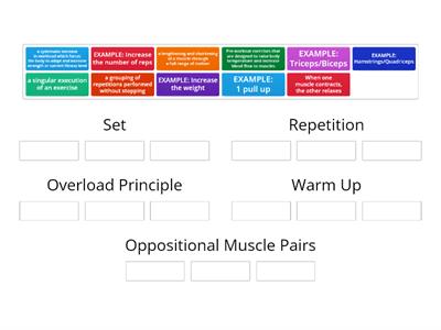 Weight Training Vocabulary Sort